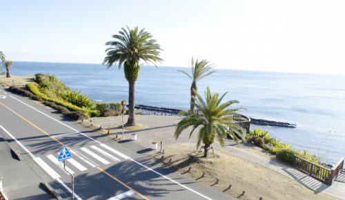 宮崎の風景